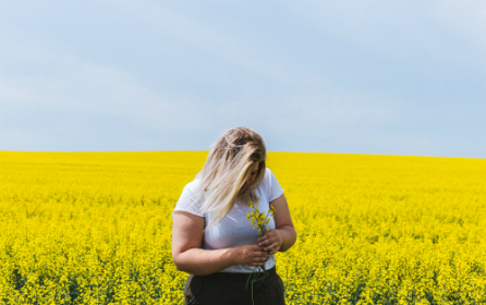 BBW Guide: Flirt, Dating, Sex